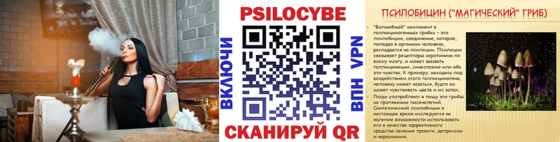 магазин  наркотиков  mega как зайти  Галлюциногенные грибы Psilocybine cubensis  Сковородино 